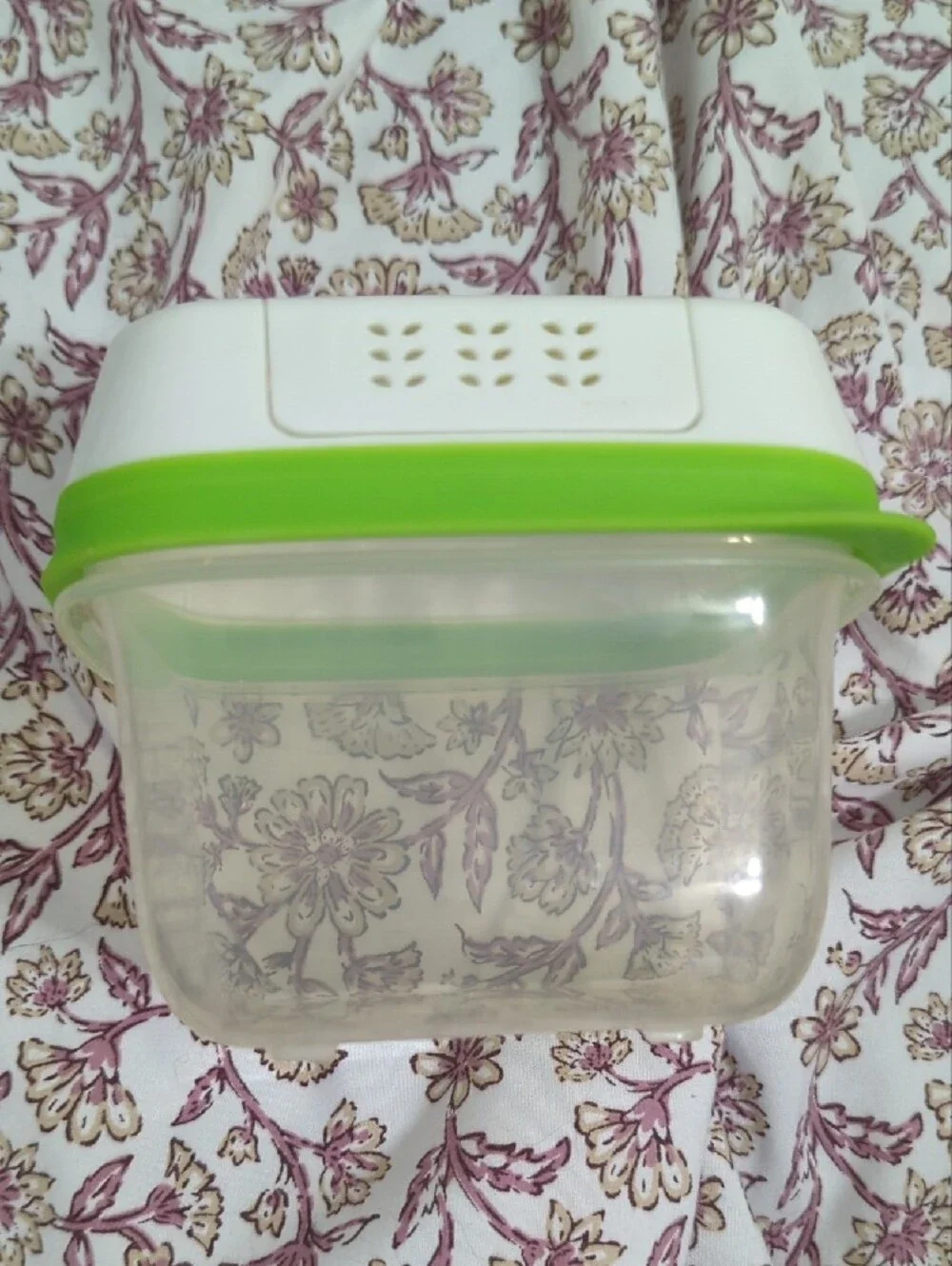 FreshVent Produce Freshness Container - White & Lime Green